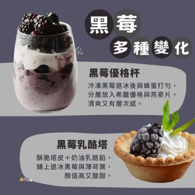 鮮凍黑莓350g｜智利安地斯山麓嚴選，IQF急凍，顆顆分明，無糖無添加，天然純粹，萬用冷凍常備【極海鮮八號鋪】-細節圖5