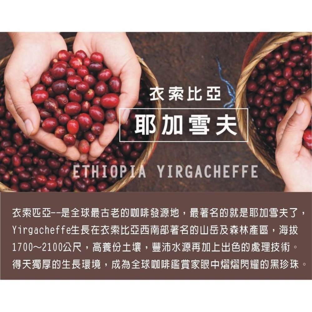 【cookietree 餅乾樹】【耶加雪夫/半磅227g】中烘焙/接單鮮焙❤SHG等級-細節圖4