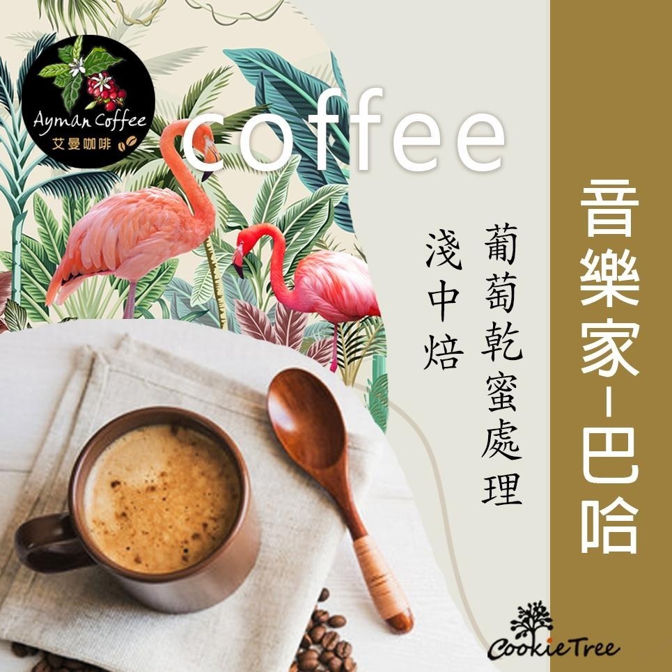 【cookietree 餅乾樹】咖啡 音樂家巴哈 咖啡豆 精品咖啡 濾掛耳包 台灣新鮮烘豆-細節圖2