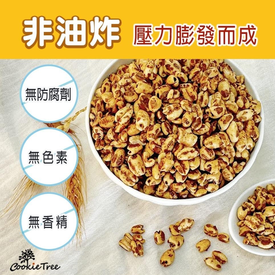 【cookietree 餅乾樹】爆糙麥 糙麥 非油炸 純天然 高纖 營養早餐-細節圖4