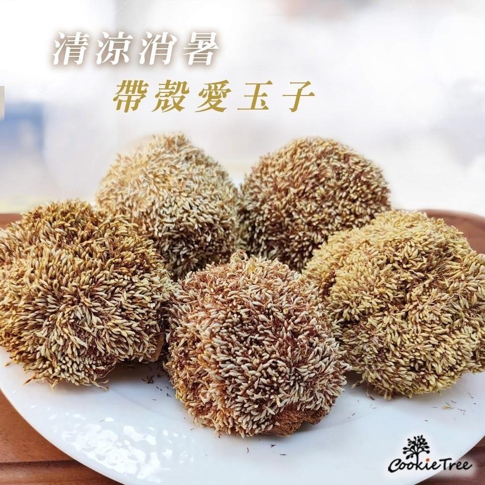 【cookietree 餅乾樹】愛玉子 愛玉籽 DIY手作愛玉 洗愛玉 檸檬愛玉 天然愛玉凍 滿三包送一搓洗棉布袋-細節圖7