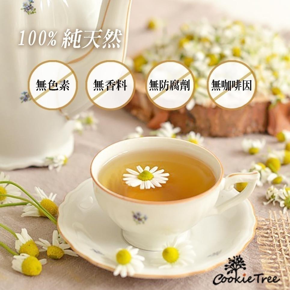 【cookietree 餅乾樹】台灣製 洋甘菊 洋甘菊舒緩茶 檢驗合格 放鬆 舒眠 潤喉 助消化 無咖啡因 低卡 無糖-細節圖5