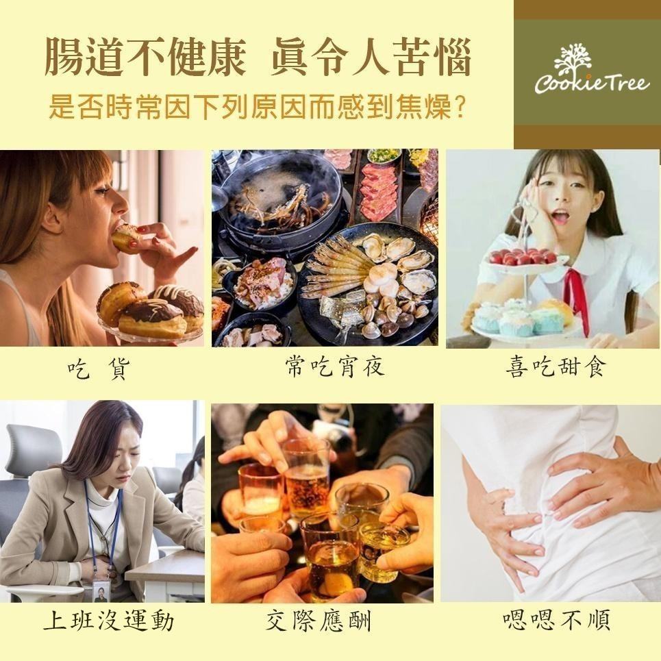 【cookietree 餅乾樹】抹茶酵素梅 台灣製 酵素梅 抹茶梅 乳酸菌梅 蔬果酵素 幫助排便 檢驗合格-細節圖4