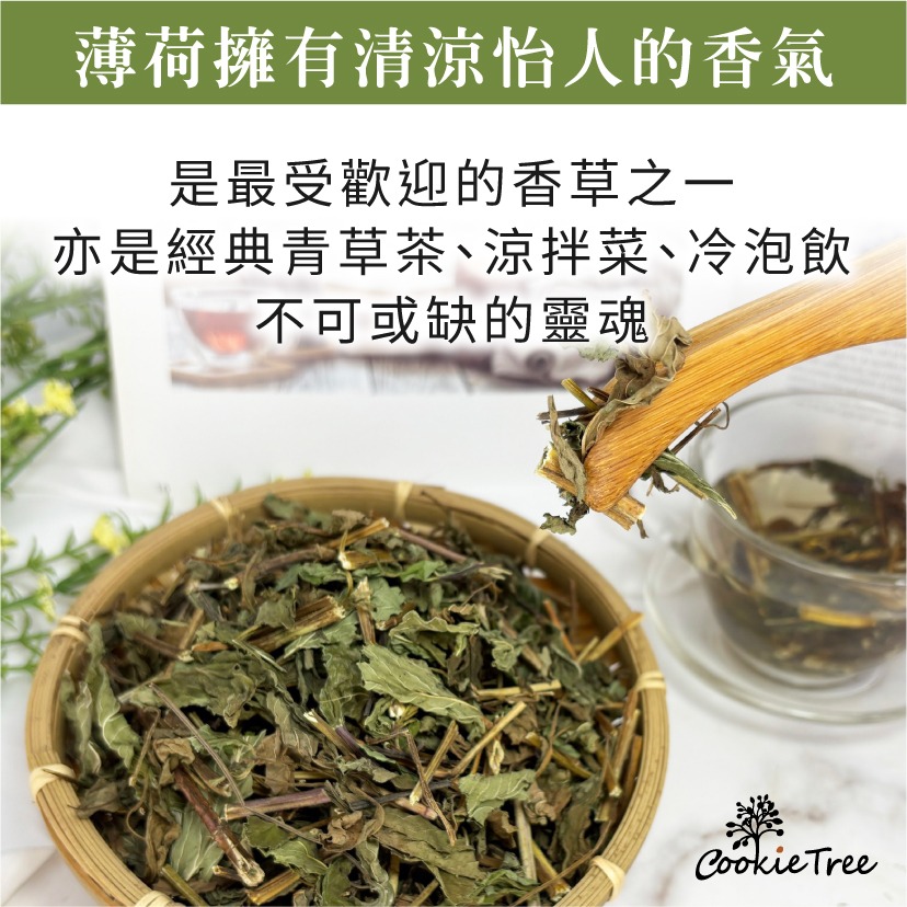 【cookietree 餅乾樹】薄荷 台灣薄荷茶 乾燥薄荷 可冷泡熱泡 純淨天然 台灣生產-細節圖5