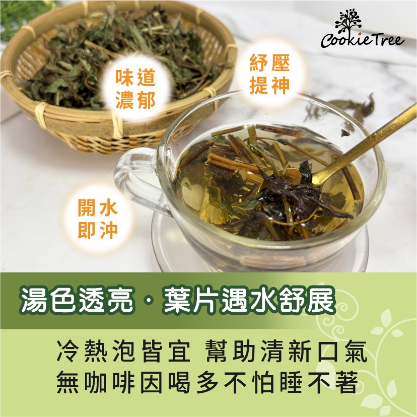 【cookietree 餅乾樹】薄荷 台灣薄荷茶 乾燥薄荷 可冷泡熱泡 純淨天然 台灣生產-細節圖6