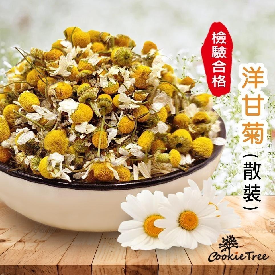 【cookietree 餅乾樹】洋甘菊 洋甘菊茶 檢驗合格 天然無添加 散裝非茶包-細節圖2