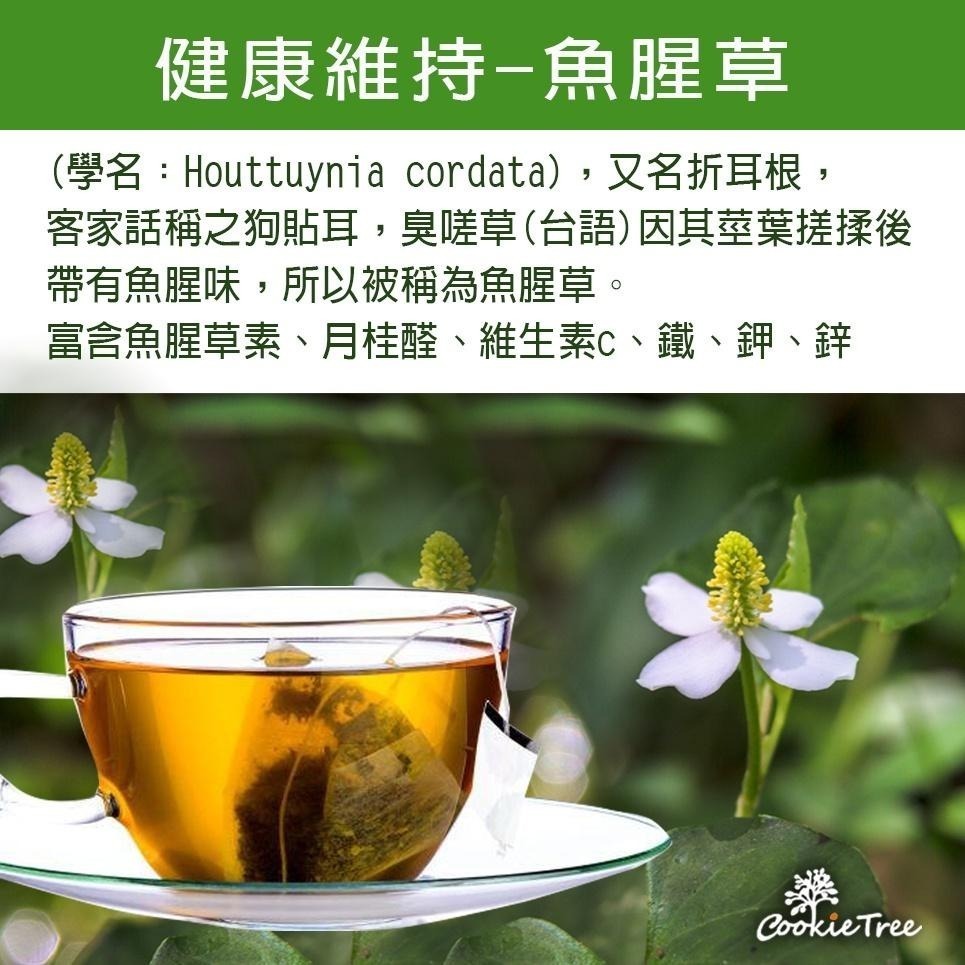 【cookietree 餅乾樹】台灣製 紫蘇薄荷茶 紫蘇 薄荷 魚腥草 非常時期 健康維持 增強體力 清費茶 無咖啡因-細節圖7