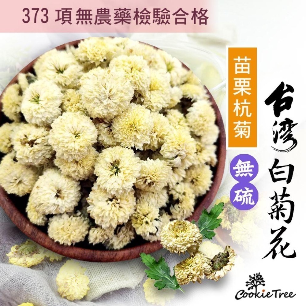 【cookietree 餅乾樹】台灣菊花 黃菊花 白菊花 300g 600g 檢驗合格-細節圖5