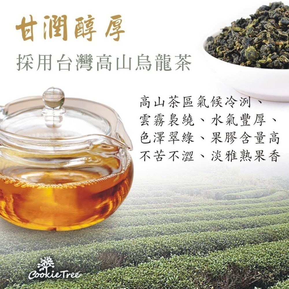 【cookietree 餅乾樹】台灣製 蕎麥烏龍茶 蕎麥 烏龍 韃靼蕎麥 苦蕎茶 高山烏龍茶 養生茶 促進代謝-細節圖7