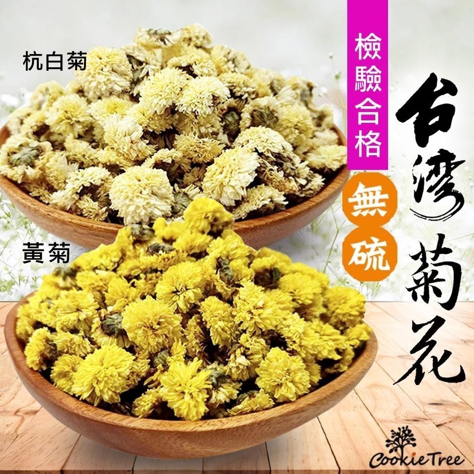 【cookietree 餅乾樹】台灣菊花 黃菊 白菊 檢驗合格 當季採收-細節圖2
