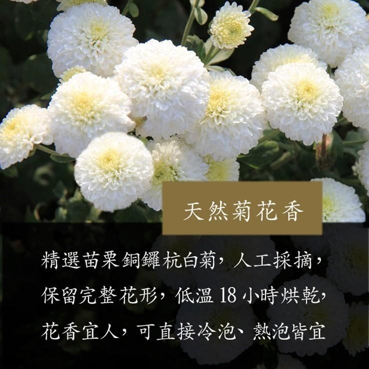 【cookietree 餅乾樹】台灣菊花 黃菊 白菊 檢驗合格 當季採收-細節圖5