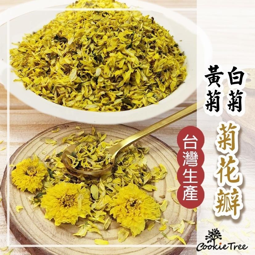 【cookietree 餅乾樹】臺灣黃菊花 黃菊花 菊花 台東產 菊花茶 檢驗合格-細節圖9