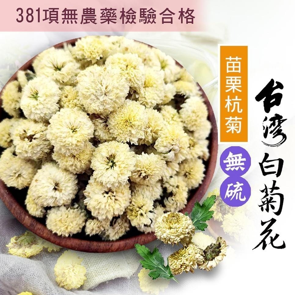 【cookietree 餅乾樹】菊花 苗栗銅鑼杭白菊  菊花茶 杭菊 台灣白菊 檢驗合格 無添加 新鮮-細節圖2