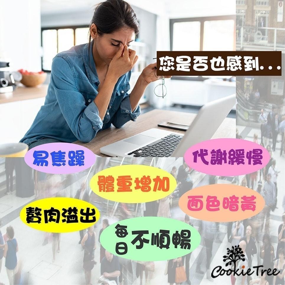 【cookietree 餅乾樹】台灣製 孅姿女神茶 玫瑰 山楂 洛神 油切 代謝 順暢  玫瑰果桂花甘草體內環保無咖啡因-細節圖6