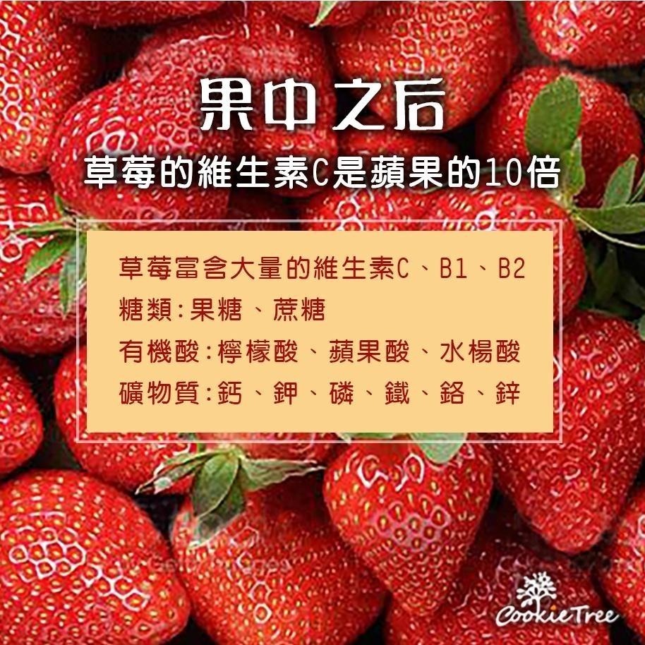 【cookietree 餅乾樹】台灣草莓乾 草莓 草莓乾 果乾 純天然無添加 軟嫩Q彈-細節圖5