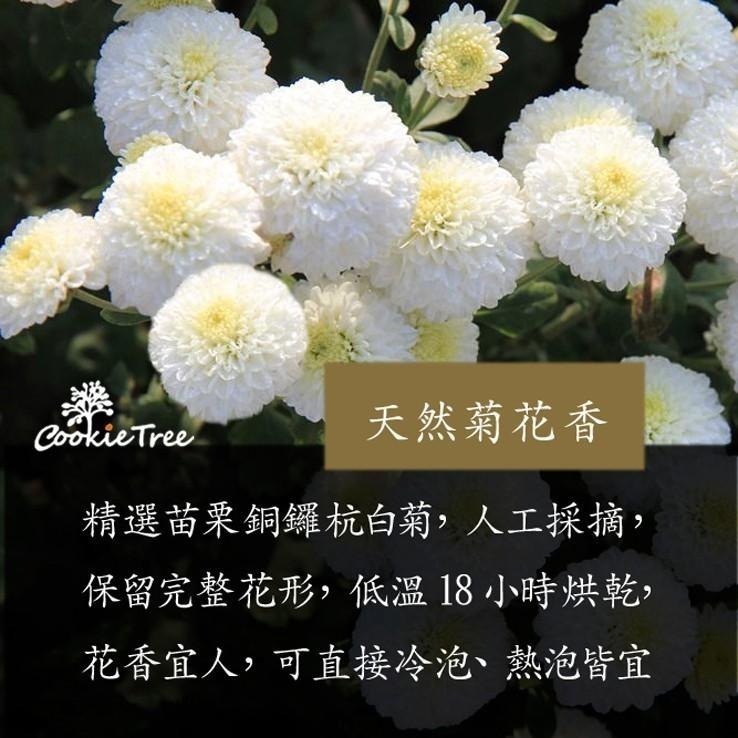 【cookietree 餅乾樹】台灣製 杭菊烏龍茶 菊花茶 烏龍茶 菊花 3C電腦 新陳代謝 冷泡熱泡皆可 養生茶 茶包-細節圖6