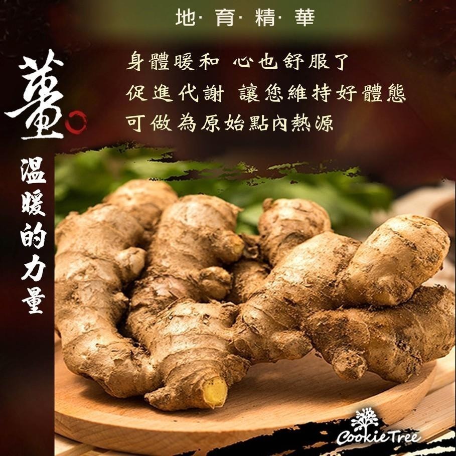 【cookietree 餅乾樹】老薑母黑糖磚 黑糖 黑糖塊-細節圖4