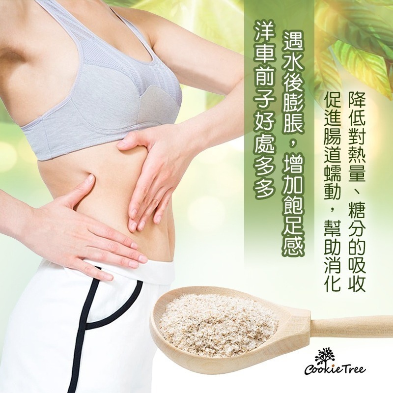 【cookietree 餅乾樹】洋車前子 洋車前子殼 洋車前子麩 膳食纖維 幫助順暢 純天然 飽足感-細節圖4