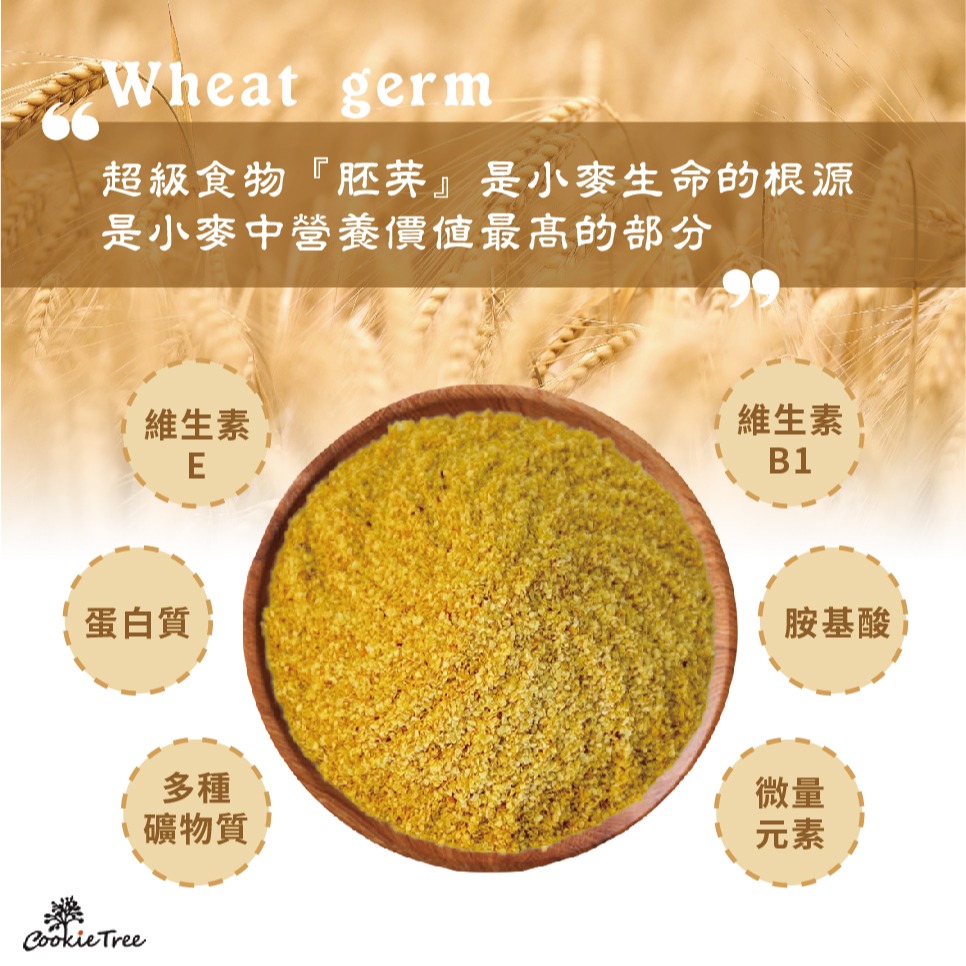 【cookietree 餅乾樹】小麥胚芽粉 小麥胚芽 純穀粉 胚芽奶茶 純天然 無添加 高蛋白質 高維生素E 沖泡飲品-細節圖2