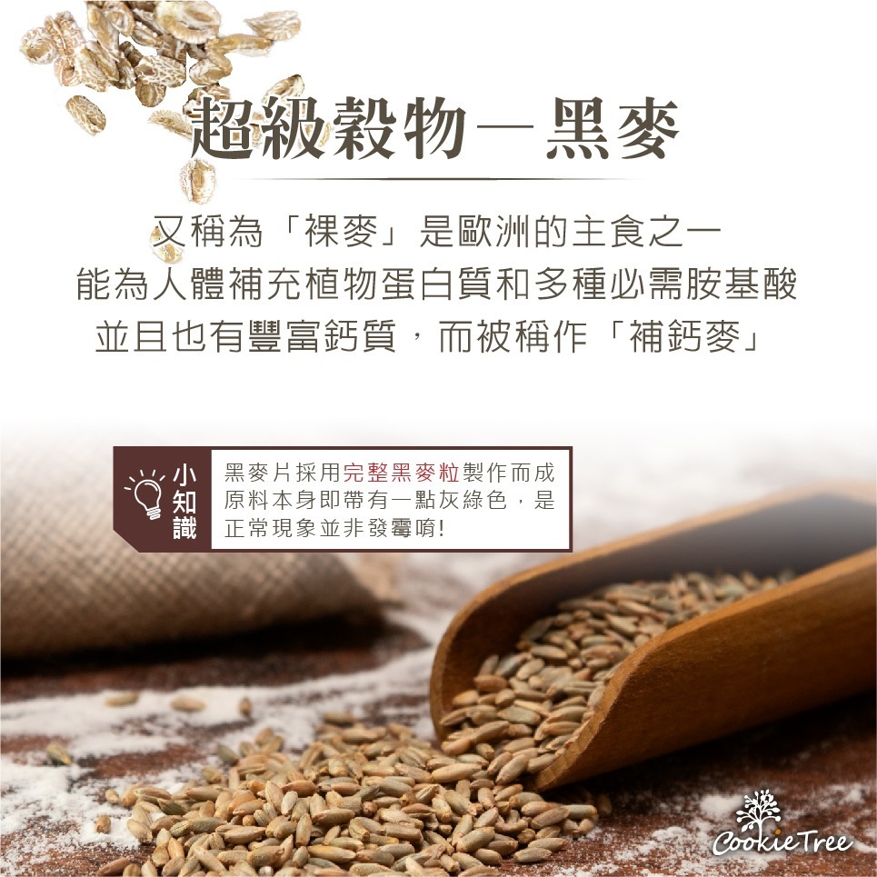 【cookietree 餅乾樹】黑麥片 黑麥 裸麥厚片 麥片 沖泡即食 膳食纖維 高纖 減醣 養生 全素-細節圖3