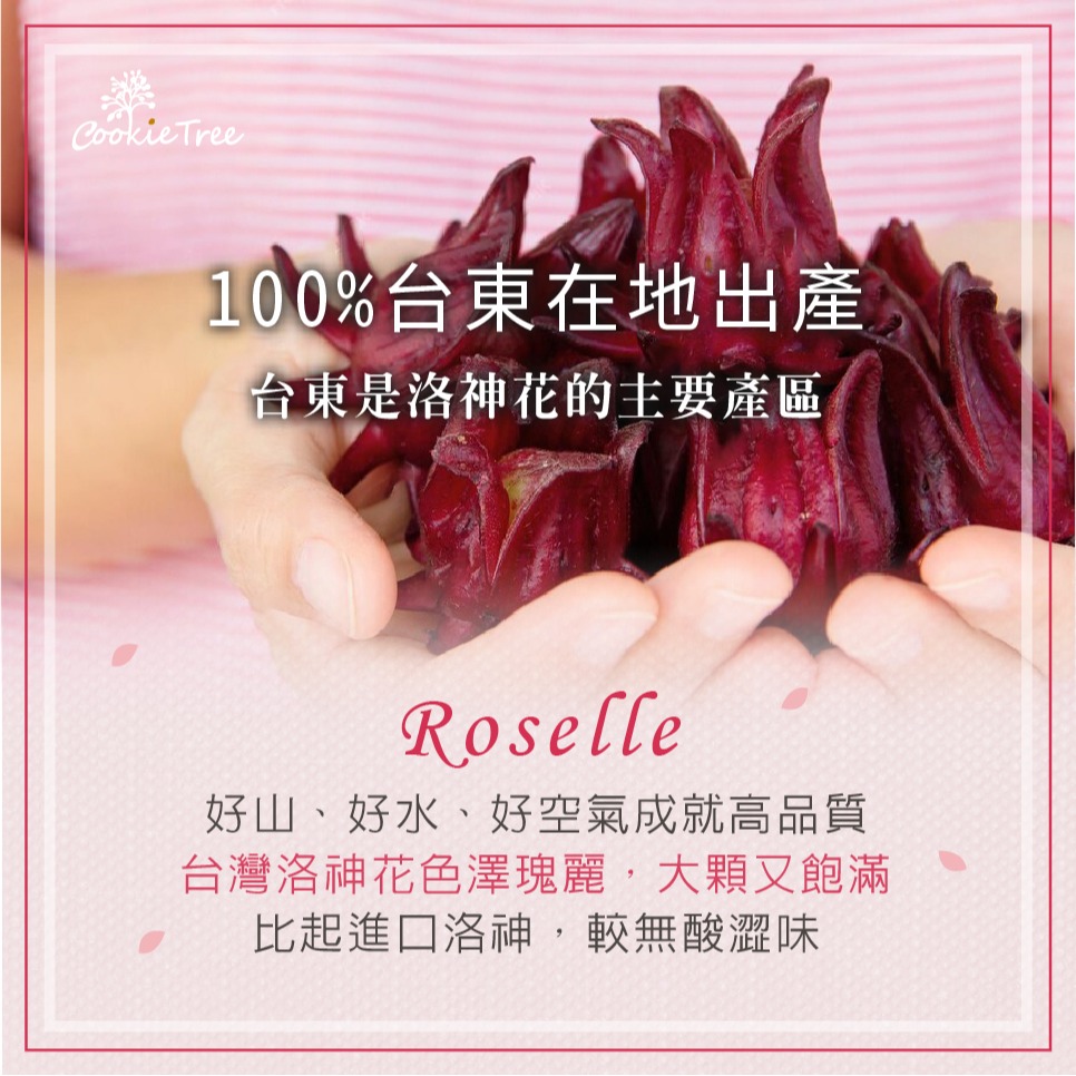 【cookietree 餅乾樹】台灣製 蜜汁洛神 蜜洛神 台東洛神花製作 可直接吃 泡茶 果乾 零食 全素-細節圖4