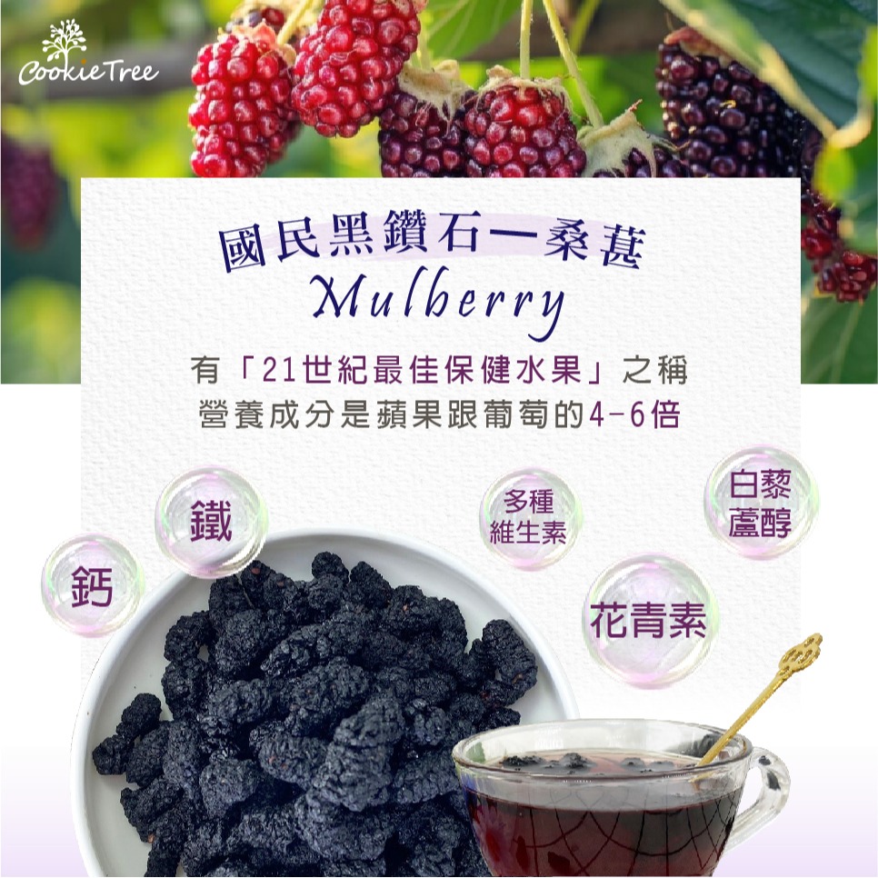 【cookietree 餅乾樹】桑椹 無糖桑葚乾 桑椹乾 桑葚茶 果乾 果乾水 天然無加糖 無添加 女性必備-細節圖3