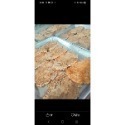 陽光蔬食 爆香激排（蛋素）-規格圖5