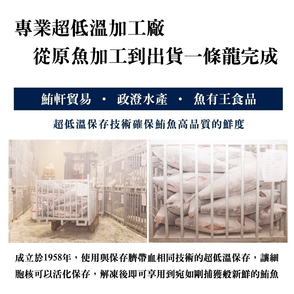 魚有王｜大目鮪大腹生魚片 (250g)｜HACCP 認證・高規格精品鮪魚-細節圖6
