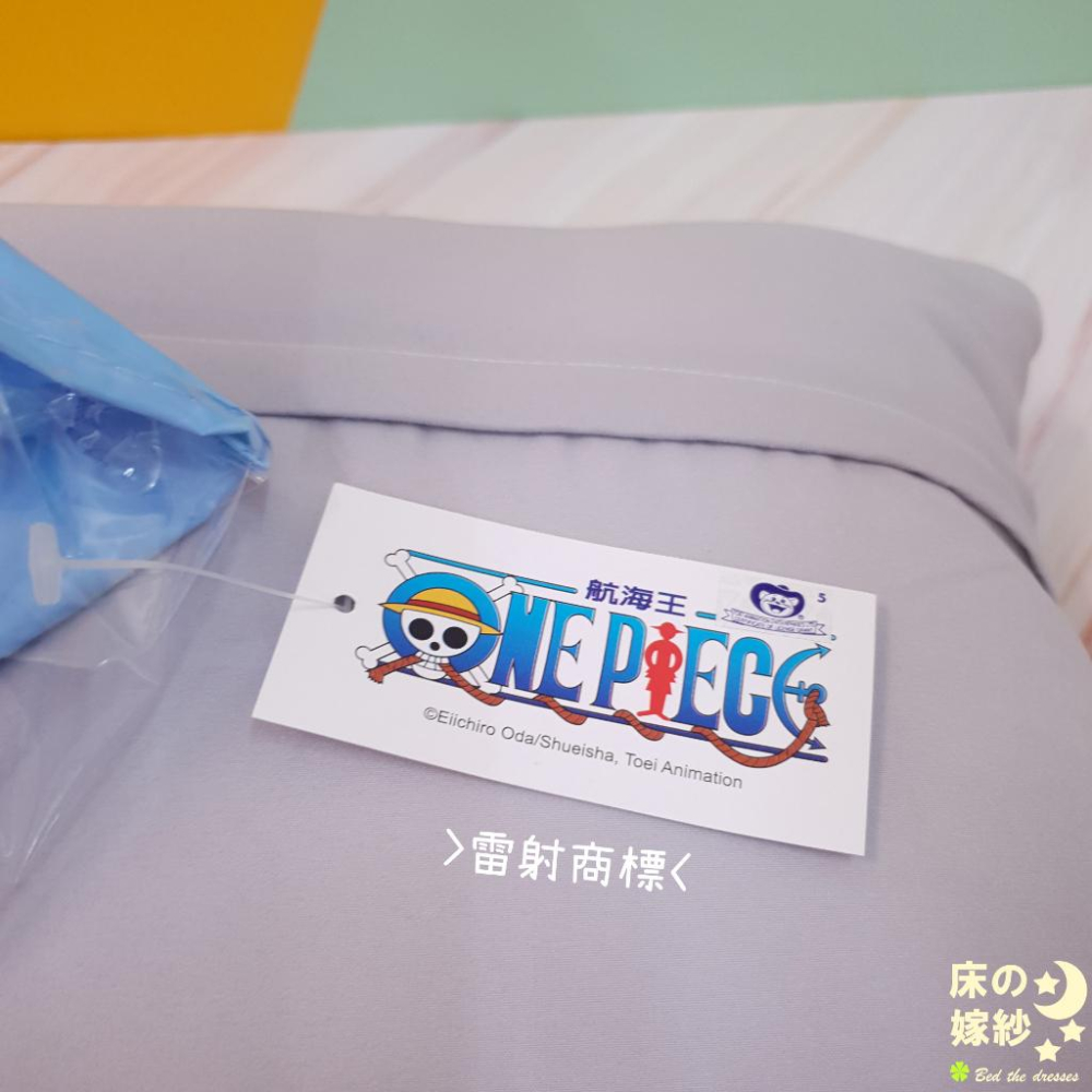 [超商免運] 日本授權 航海王系列 [夥伴們集合了] 抱枕 /跟床包組整套搭配更好看<海賊王>-細節圖5