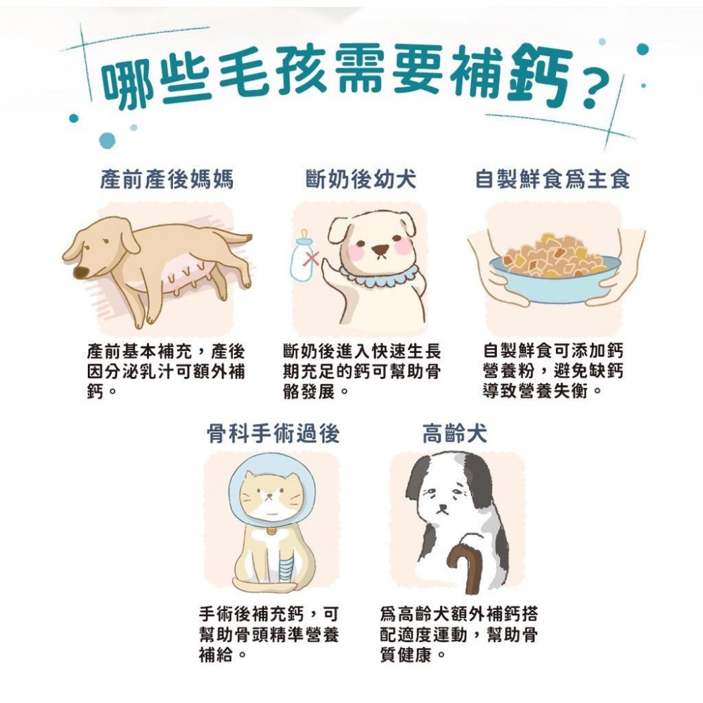 純粹便宜寵物🐶🐱🐹【倍力BLUEBAY】狗貓骨骼保健營養粉150g 陽光鈣補 配方升級  高齡 懷孕哺乳 離乳 鮮食補充-細節圖4
