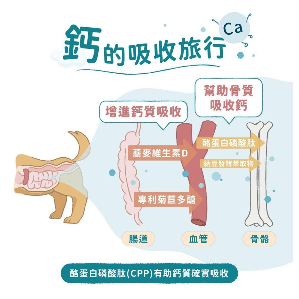 純粹便宜寵物🐶🐱🐹【倍力BLUEBAY】狗貓骨骼保健營養粉150g 陽光鈣補 配方升級  高齡 懷孕哺乳 離乳 鮮食補充-細節圖6