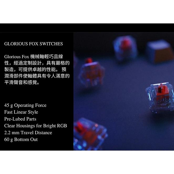 送長版鼠墊 淺規則 Glorious GMMK2 65% 96% 鍵盤 狐狸軸 熱插拔 DIY RGB 二色成形 裸軸-細節圖5