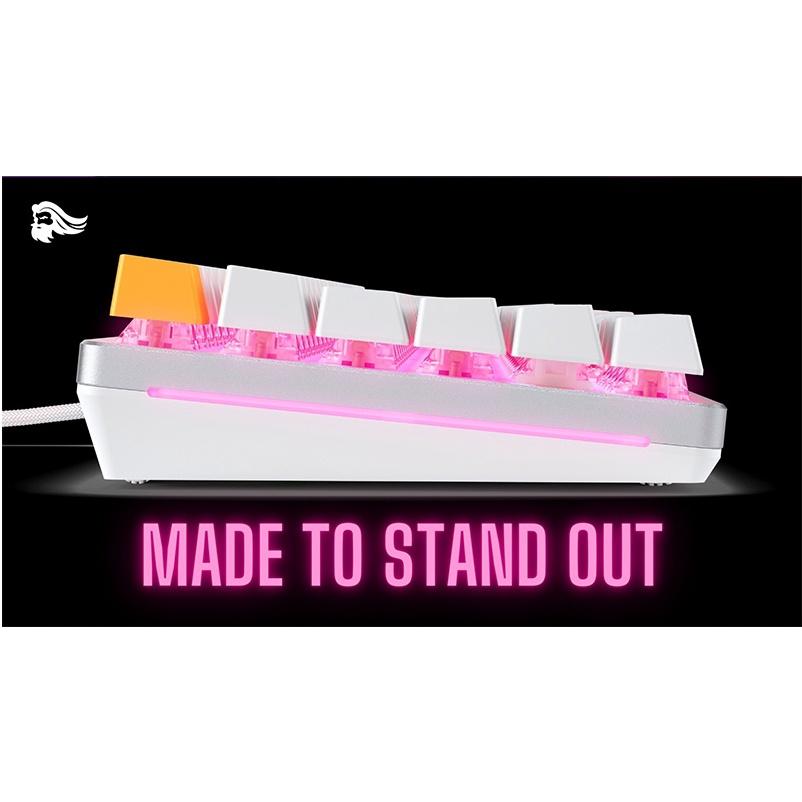 送長版鼠墊 淺規則 Glorious GMMK2 65% 96% 鍵盤 狐狸軸 熱插拔 DIY RGB 二色成形 裸軸-細節圖6