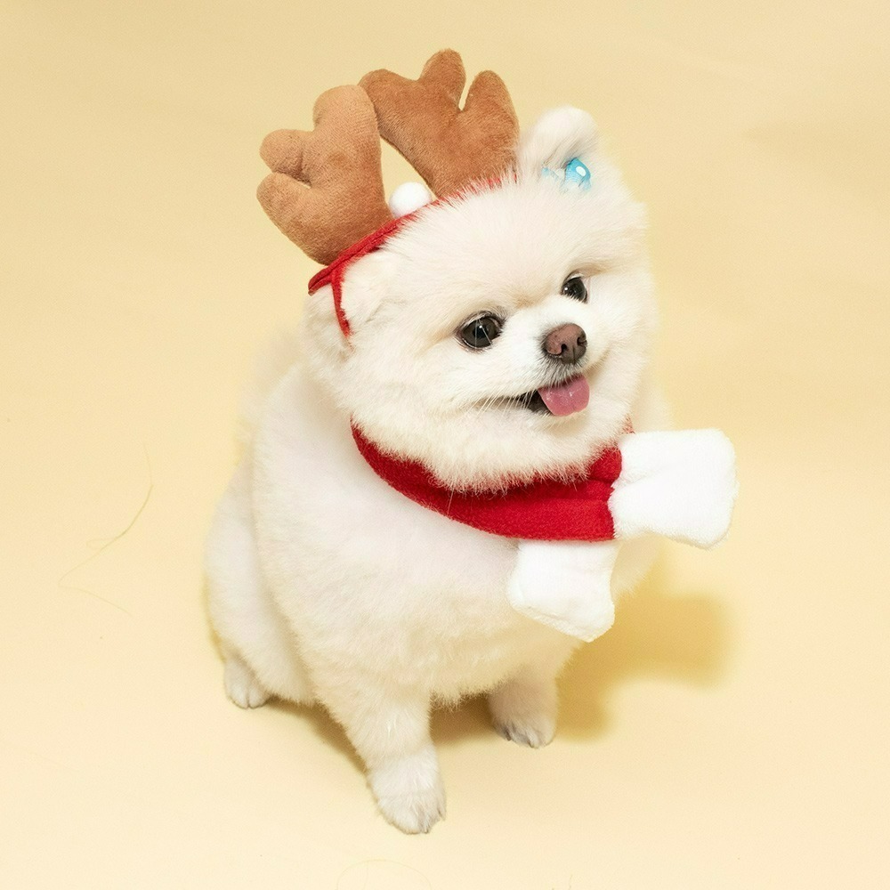 【QIDINA】寵物變身聖誕樹麋鹿聖誕節 寵物配件-C / 貓衣服 寵物服飾 寵物衣服 狗狗衣服 小狗衣服 耶誕節衣服-細節圖8