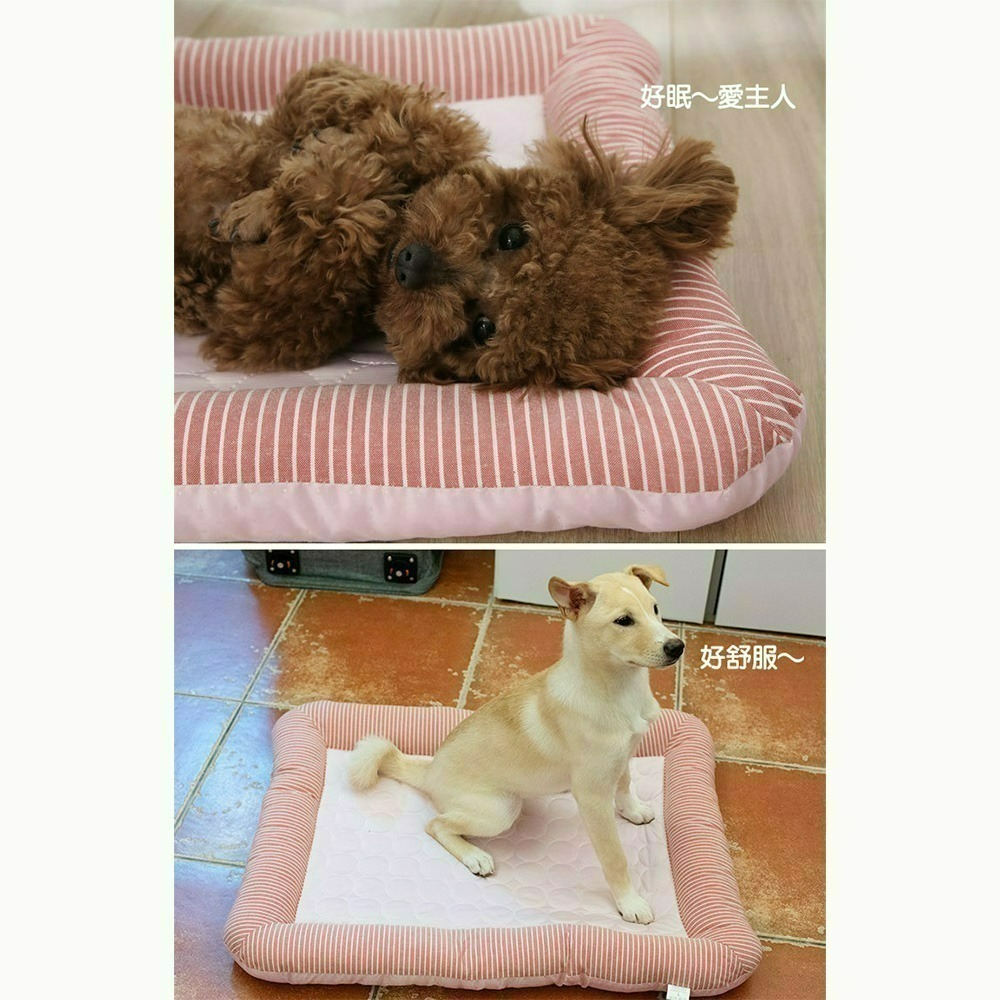 【限時購】【QIDINA】寵物降溫冰絲厚涼墊涼感寵物墊-B /  寵物降溫 寵物涼墊 冰絲寵物墊 冰絲墊-細節圖6