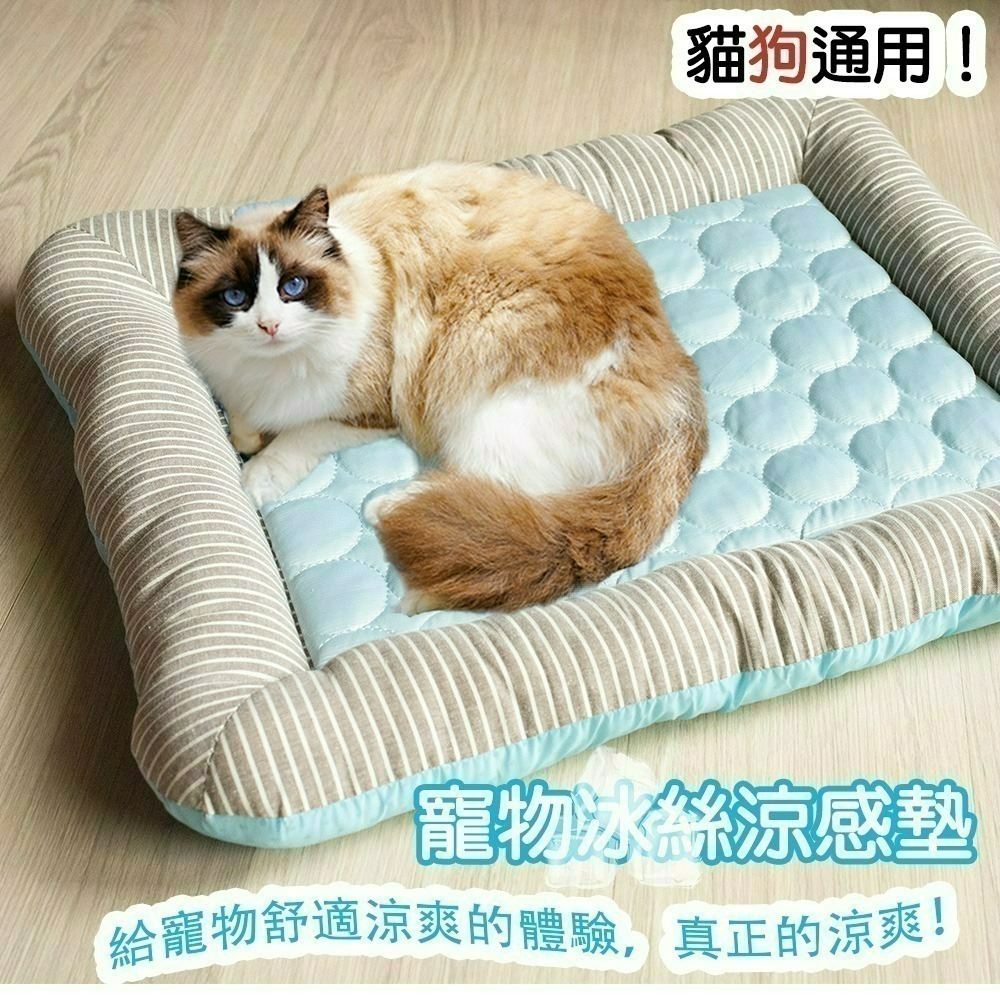 【限時購】【QIDINA】寵物降溫冰絲厚涼墊涼感寵物墊-B /  寵物降溫 寵物涼墊 冰絲寵物墊 冰絲墊-細節圖2