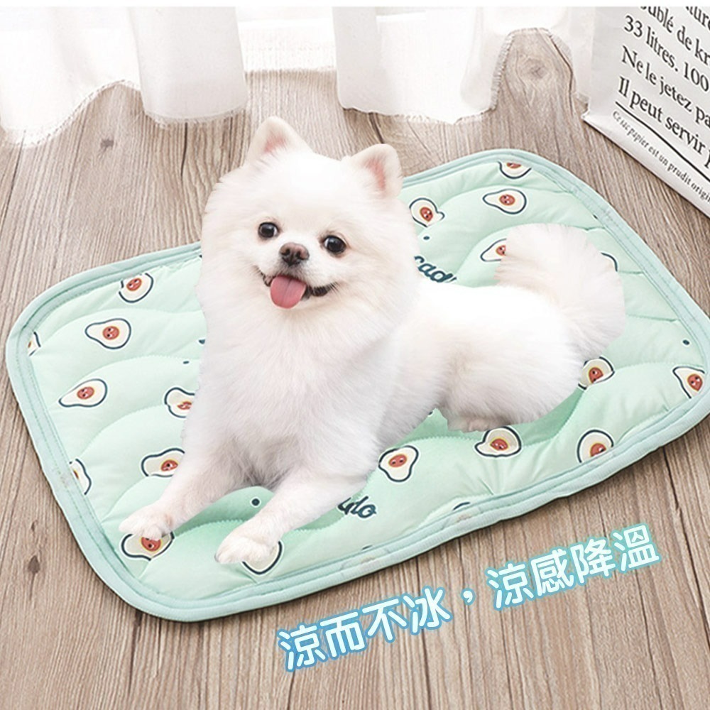 【限時購】【QIDINA】涼感降溫親膚軟綿綿寵物墊-C / 貓窩 狗窩 寵物涼墊 寵物地墊 寵物涼感墊-細節圖5