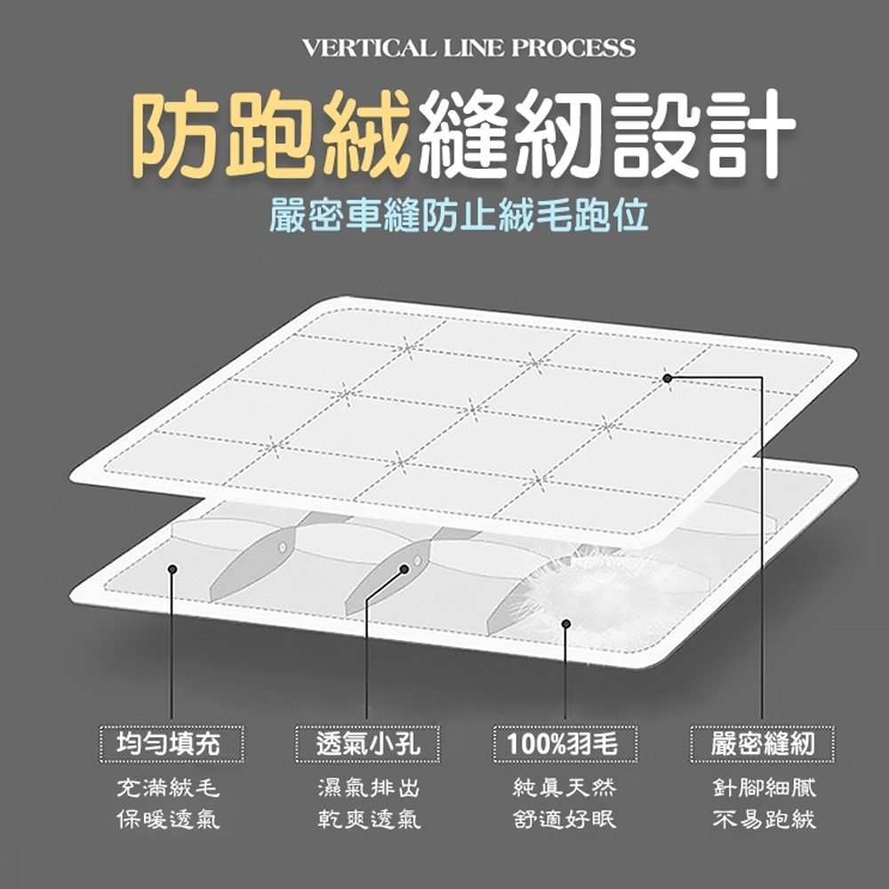 【QIDINA】MIT-100%水鳥羽絨棉被SUD-A / 冬天棉被 冬被 厚棉被 棉被 被子 雙人棉被 羽絨被-細節圖4