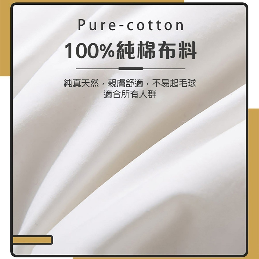 【限時購】【QIDINA】MIT頂級水鳥羽毛枕飯店枕頭 羽毛枕-SUD-細節圖5