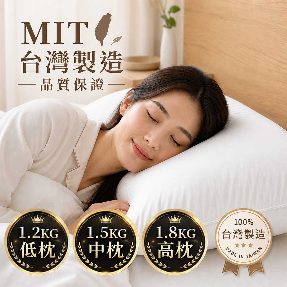 【限時購】【QIDINA】MIT頂級水鳥羽毛枕飯店枕頭 羽毛枕-SUD-細節圖3