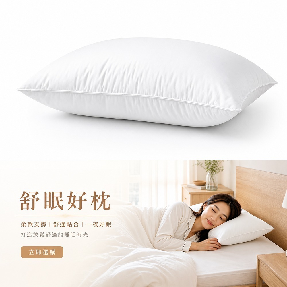 【限時購】【QIDINA】MIT頂級水鳥羽毛枕飯店枕頭 羽毛枕-SUD-細節圖5