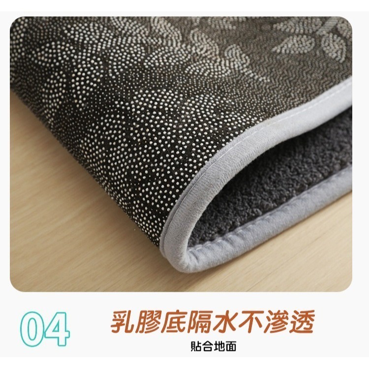【限時購】【QIDINA】超強吸水玄關浴室耐髒地毯地墊 腳踏墊 大地墊 / 吸水地墊 浴室吸水地墊 止滑墊 防滑地墊-細節圖9