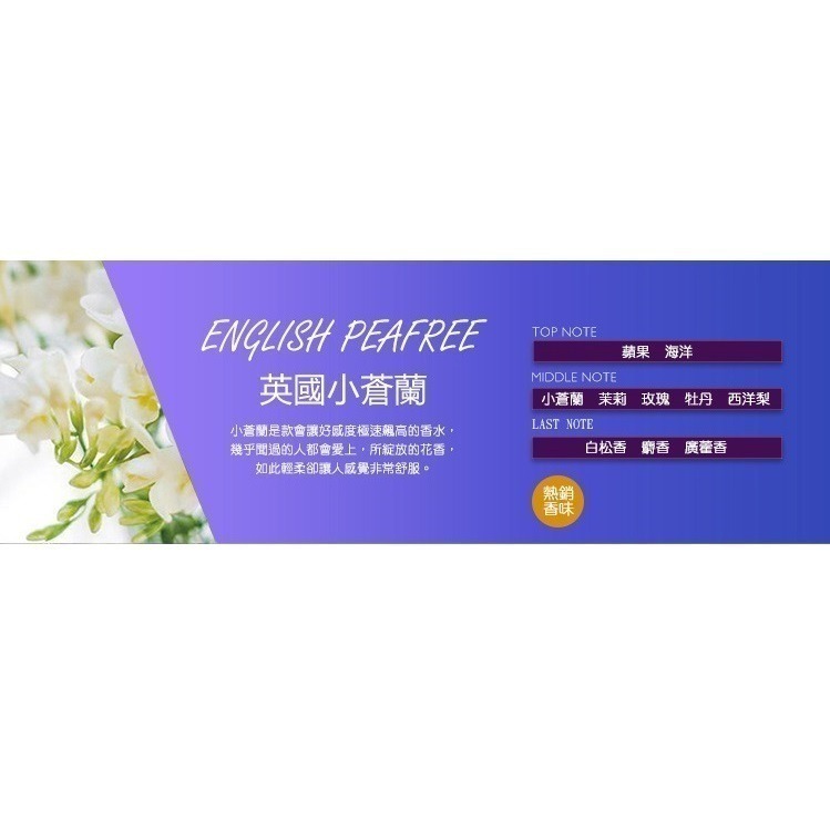 【限時購】【QIDINA】聖誕狂歡硅藻土聖誕樹香氛擴香瓶 / 聖誕禮物 聖誕節禮物-規格圖10