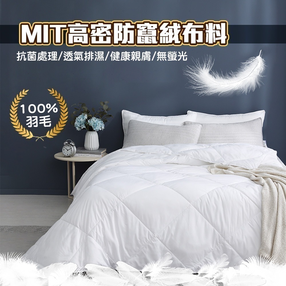 【限時購】【QIDINA】MIT-100%水鳥羽絨棉被SUD-A / 限時活動-細節圖2