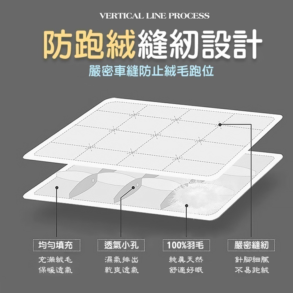 【限時購】【QIDINA】MIT-100%水鳥羽絨棉被SUD-A / 限時活動-細節圖4