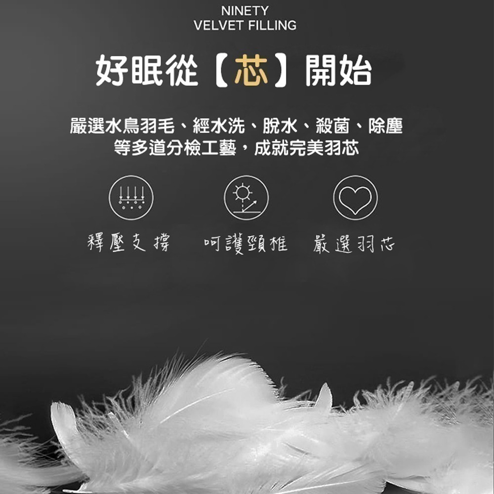 【限時購】【QIDINA】MIT-100%水鳥羽絨棉被SUD-A / 限時活動-細節圖5