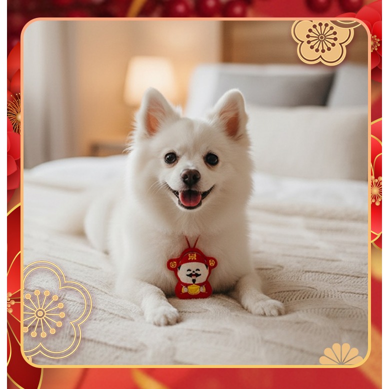 【QIDINA】寵物俏皮新年圍兜口水巾寵物配件-1DF /	寵物領巾 貓咪衣服 貓衣服 寵物服-細節圖8