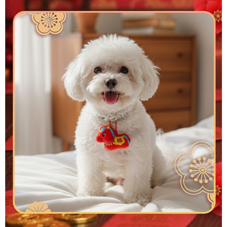 【QIDINA】寵物俏皮新年圍兜口水巾寵物配件-1DF /	寵物領巾 貓咪衣服 貓衣服 寵物服-細節圖10