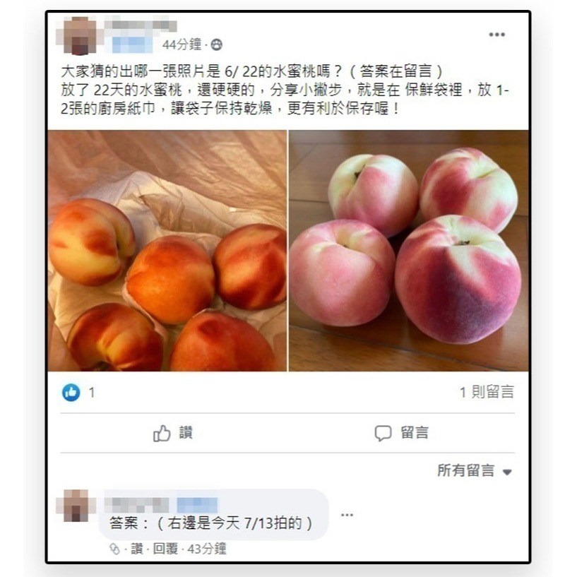 台灣製第二代天然環保蔬果保鮮袋、專利會呼吸的天然保鮮盒-細節圖8