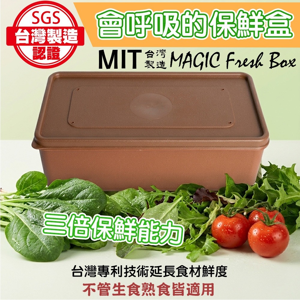 【QIDINA】台灣製SGS保鮮神器生鮮延長保鮮盒 / 保鮮袋 保鮮盒 便當盒 食物袋 密封盒 保鮮袋密封袋 冷凍保鮮袋-細節圖2